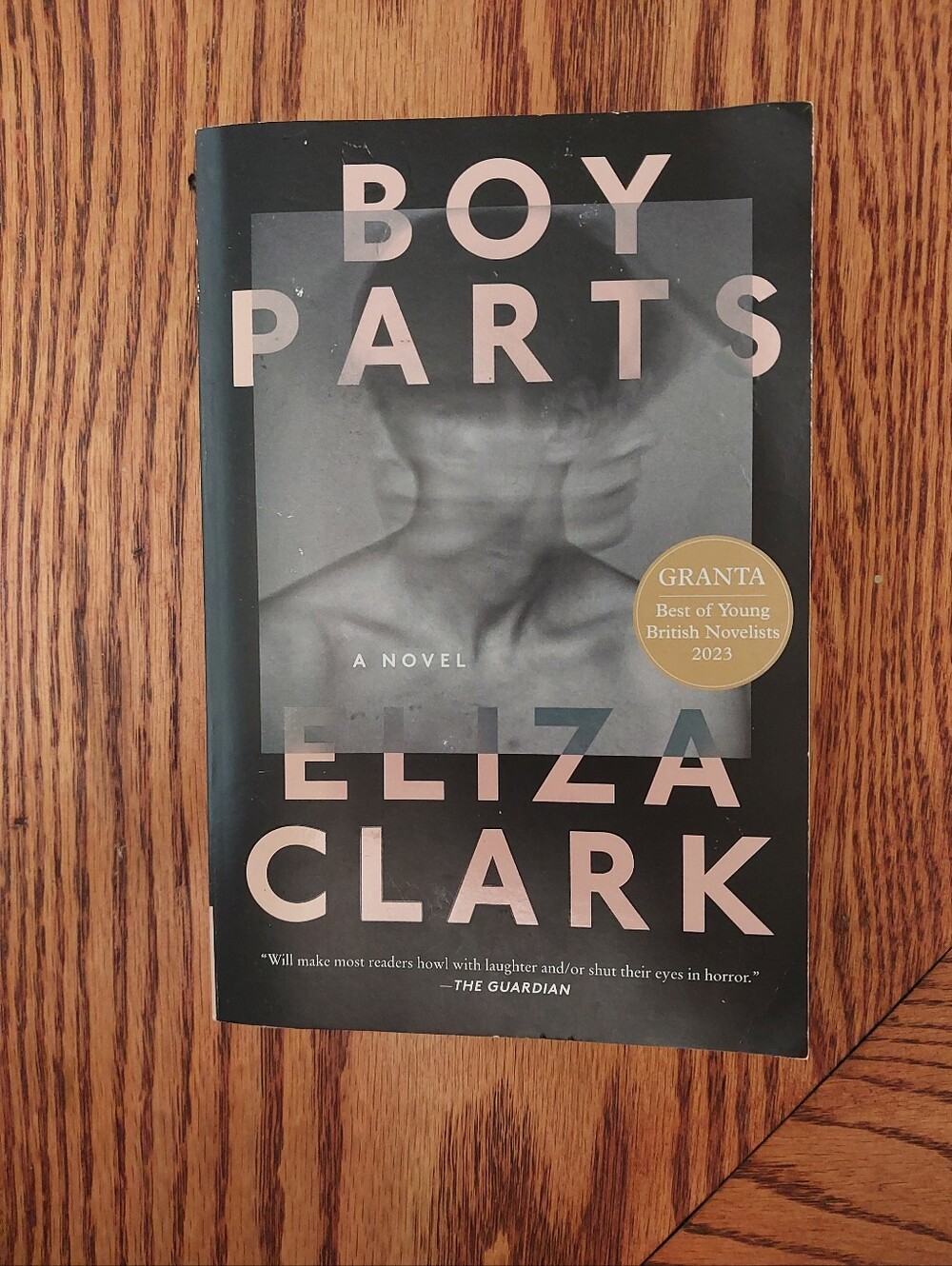 Boy Parts Book by Eliza Clark - Black & Blush Hardcover/Trade Paperback